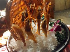 -渝涯重庆豆花老火锅(中赢国际店)