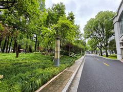 -中共上海市委党校 上海行政学院