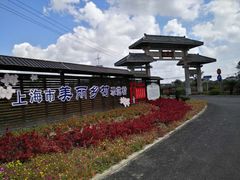 -南汇水蜜桃采摘(大团店)