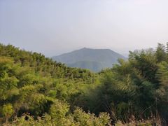-径山花海
