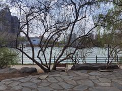 -朝阳公园游乐园