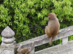 -苏州上方山国家森林公园