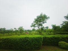 -眉山湿地公园(东坡区)