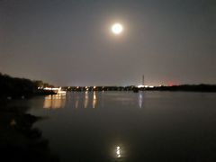 -大兴滨河森林公园