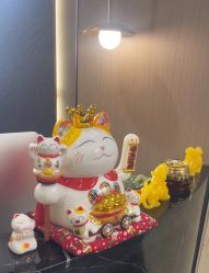 -半岛故事·法儿曼抗衰·indiba中心