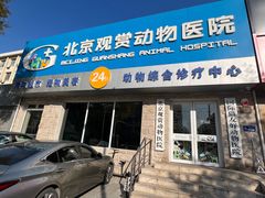 -北京观赏动物医院·24小时大型综合·猫专科·异宠专科