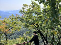 -吉林市朱雀山国家森林公园