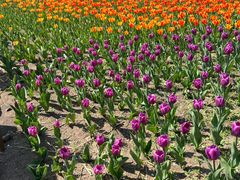 -长春公园(普阳街道)