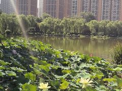 -木塔寺遗址生态公园