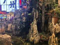 -丰圆轩粤式茶楼 . 点心粤菜(夏茅店)