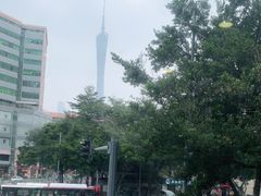 -金苑海鲜酒家(新港中路店)