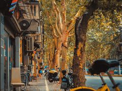 -Feiyue飞跃(长乐路店)