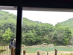 -杭州野生动物世界