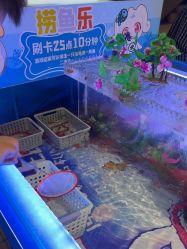 -卡通尼·Safari非洲探索乐园·生日会(金桥国际商业广场店)