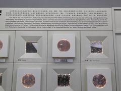 -中国茶叶博物馆(双峰馆区)