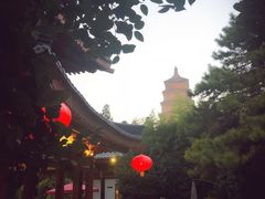 -大唐博相府酒店·陕西官府菜