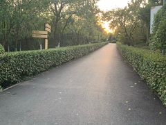 -合肥三国新城遗址公园