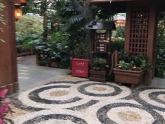 -南宫五洲植物乐园