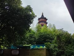 -绳金塔