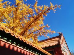 -故宫博物院(故宫)