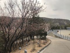 -神木二郎山风景区