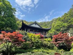 -十八棵（老龙井）御茶园(老龙井店)