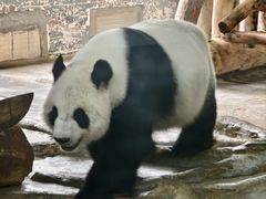 -海南热带野生动植物园