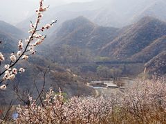 -大岭沟猕猴桃谷风景区