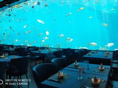 -瑞德姆美人鱼海底演艺主题餐厅(亚龙湾店)