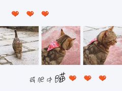 -灌篮高手动画打卡地
