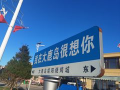 -大鹿岛