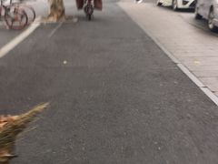 -丁记盐蘸牛肉·新杭菜(河东路店)