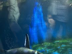 -华夏文旅西安度假区