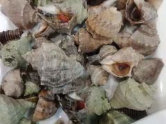 -宾朋海鲜特色美食餐厅·纯手工鲅鱼水饺(兴海路店)