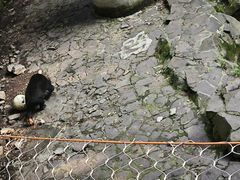-杭州动物园