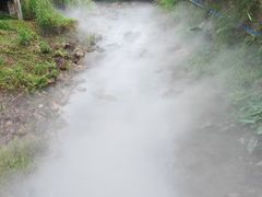 -广州白江湖森林公园