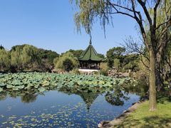 -无锡蠡湖国家湿地公园-蠡园