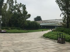 景点-金沙遗址博物馆