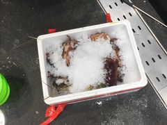 -盒马鲜生(曜一城店)
