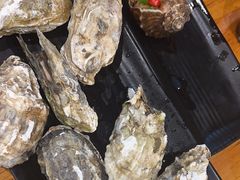 -开蚝屋