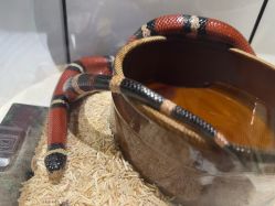 -酷嗒动物文化乐园(cutezoo西溪乐天城店)