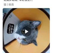 -佳雯宠物医院·皮肤科·内外科(春晓路分院)