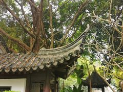 -深圳国际园林花卉博览园