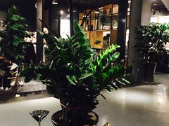 大堂-致明德素食餐厅(土屋路店)