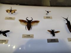 -中国湿地博物馆