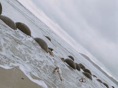 -摩拉基大圆石