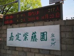 -嘉定紫藤园