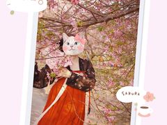 -天适樱花悠乐园