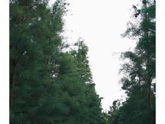 -云龙山