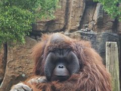 -杭州野生动物世界